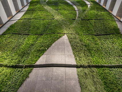 De potentie van de groenwand