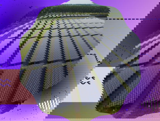 Bloemen, bijen en zonnepanelen