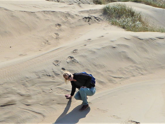 Wereldwijd zijn kusten te smal door bebouwing, blijkt uit onderzoek van kustecoloog Eva Lansu