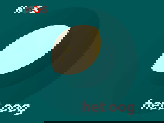 Nederland Waterland: Marieke van Delft en Reinder Storm over hun liefde voor oude kaarten