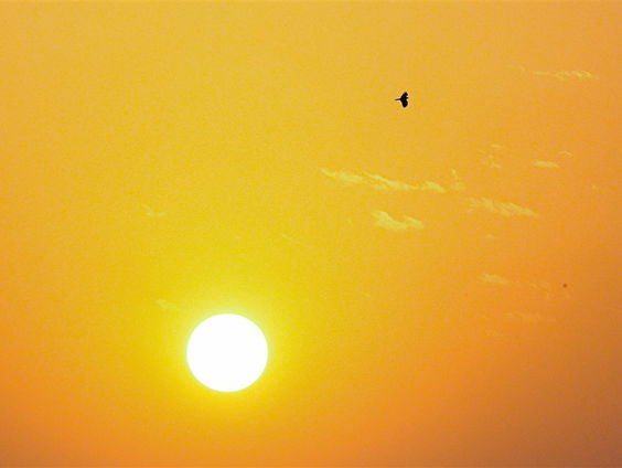 In gesprek met Ton over de mysteries van de zon