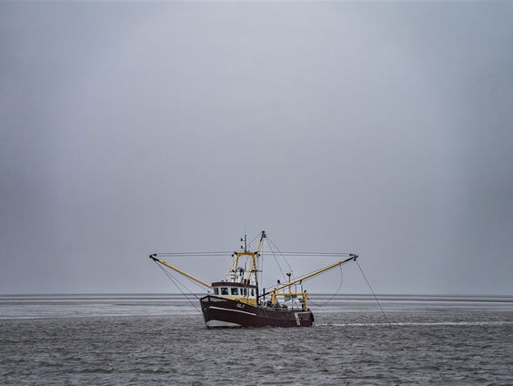 Stand.nl: 'Er is geen toekomst meer voor de Nederlandse garnalenvisserij'