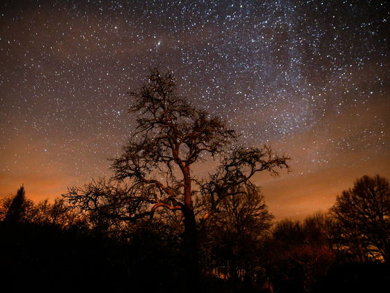 Mijlpaal behaald in onderzoek naar deeltjes uit sterrenstelsel