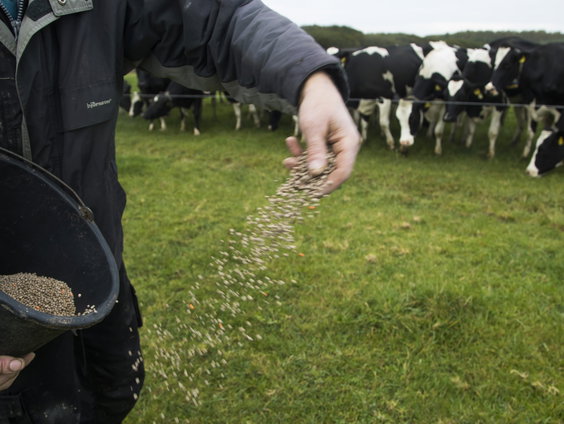 Feit of Fictie: Boeren worden door Brussel gedwongen om meer kunstmest te gebruiken