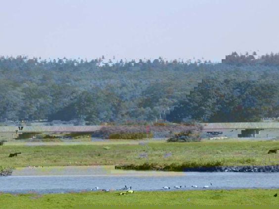 Het evenwicht moet terug in ons landschap