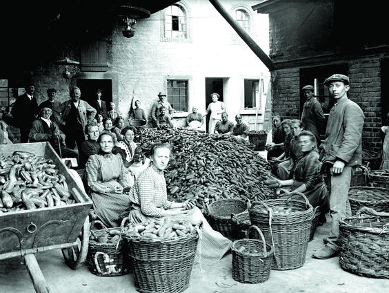 2e uur: de Politieke Partij Radikalen, het Spoor Terug: Zuur Amsterdam OVT 27-11-2022