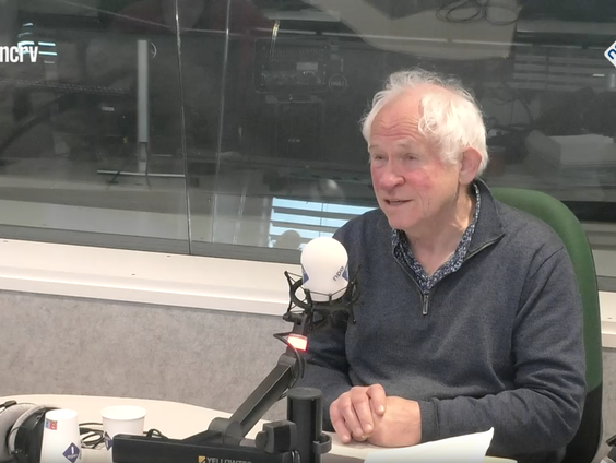 De Taalschatten: Reinjan Mulder over Connie Palmen