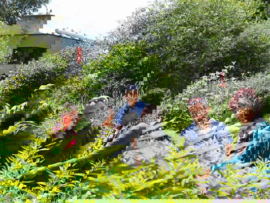 Plantenblindheid leidt tot verschraling