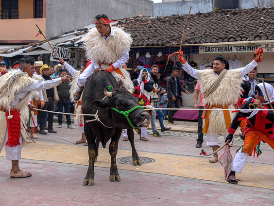 Buitenland Uitgelicht: Mexico