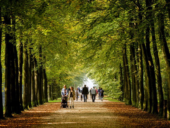 Te druk in het bos: "Van de crimineel tot de bomenknuffelaar de natuur wordt aan alle kanten bezocht"