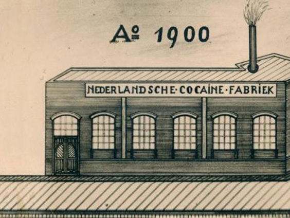 Nederland had jarenlang een cocaïnefabriek, maar waarom?
