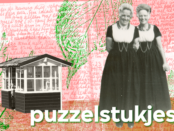 Het Spoor Terug: Mina & Mevrouw #6: Puzzelstukjes