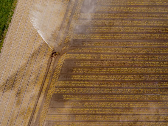 Hoe kunnen boeren omgaan met de droogte?