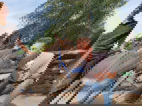 Vrienden worden met een ezel