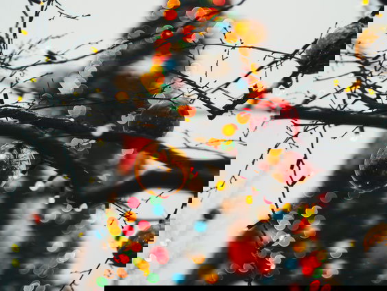 Kerstbomen verbranden: kan dat nog wel?