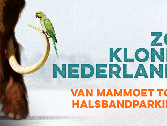 Waarom klinkt de podcast 'Zo klonk Nederland' zo speciaal?
