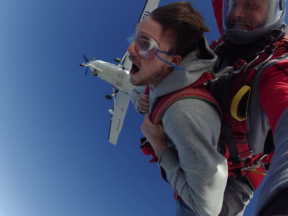 Zo vrij als een vogel