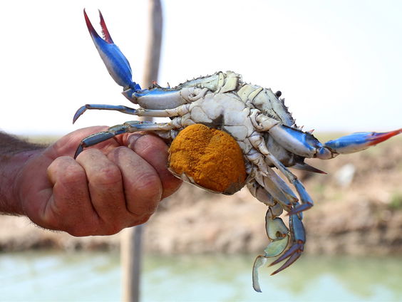 Buitenland Uitgelicht: Italië