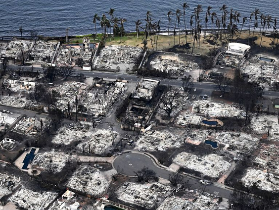 Dodental Maui loopt verder op: 'Chaotische en akelige toestand'