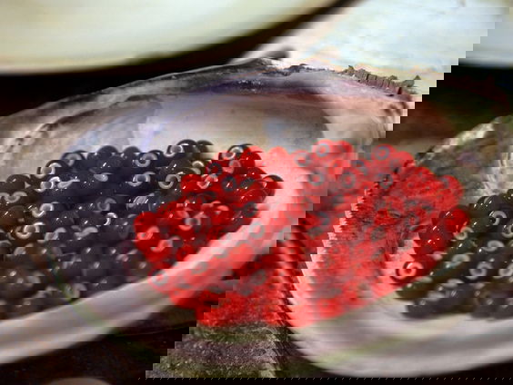 De wonderlijke geschiedenis van een kleine kraal