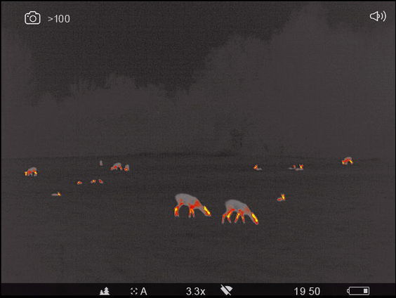 Om hazen te tellen moet je hazen spotten in de nacht