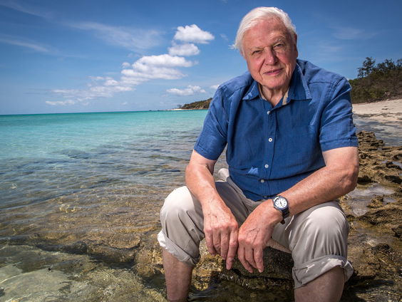 Sir David Attenborough (97) neemt afscheid met derde deel van Planet Earth
