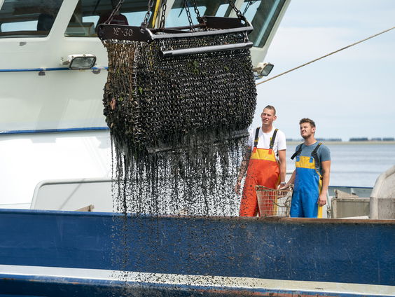 Vissers mogen zich nog één dag melden voor saneringsregeling