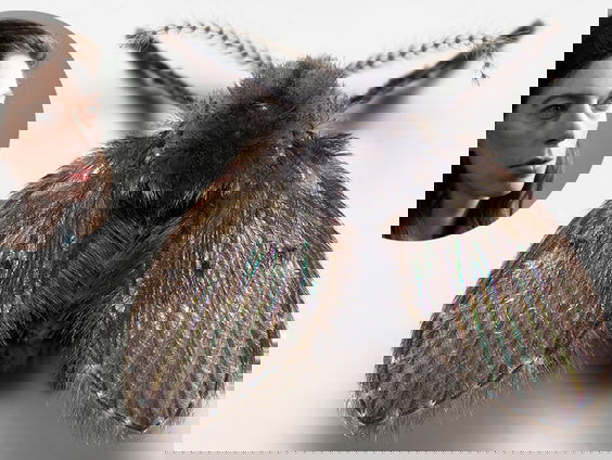 WC-motmug is het Insect van het Jaar