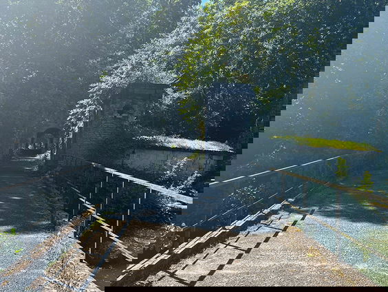 De natuur van Begijns België: Fort 7