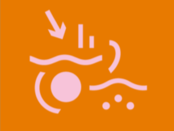 De eerste editie van EU TalentON