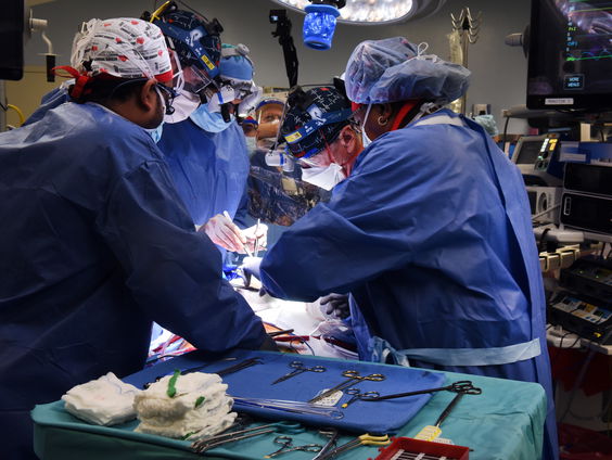 Meer harttransplantaties na toepassen van nieuwe 'heart-in-a-box'-techniek