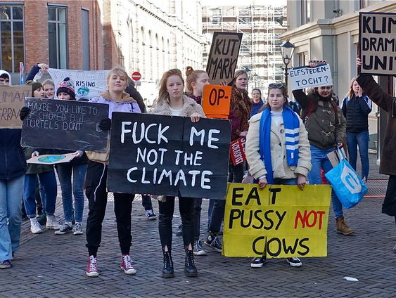 Klimaatdemonstranten vinden dat protest verstorend moet zijn