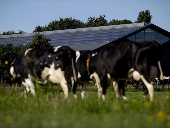 Deel subsidieregelingen voor de landbouw kan natuur schaden