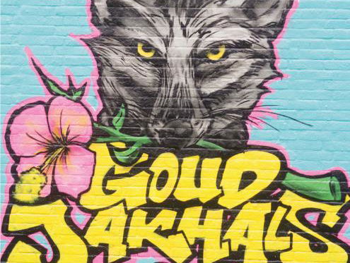 'Goudjakhals': is het een roman of toch een verhalenbundel?