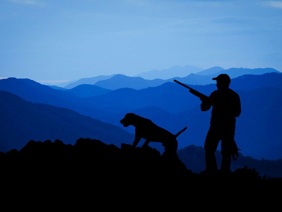 Carel Luiting-Maten over de speurneuzen die meedoen aan het NK Jachthonden