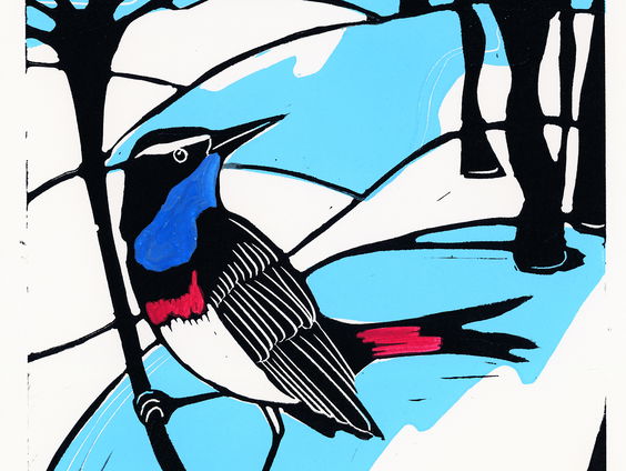 Zilveren Penseelwinnaar Octavie Wolters over haar nieuwe boek