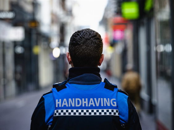 Hoe verbeter je het imago van de boa?