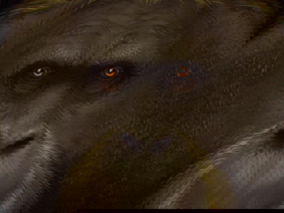 Na onderzoek meer duidelijk over grootste aap die ooit heeft geleefd