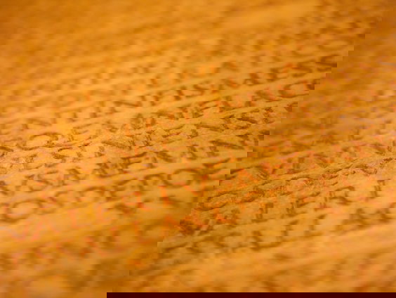 Een leven in letters: de biografie van de excentrieke Romeinse keizer Caligula