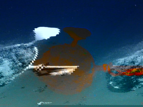 Mijnbouw naar mangaanknollen in de diepzee