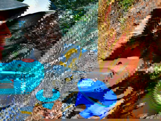 Laura Boeschoten ontdekt methode om fout hout op te sporen