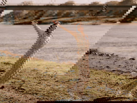 Woordkunstenaar Marieke Duchatteau (Vocabuflair) met 'leven'