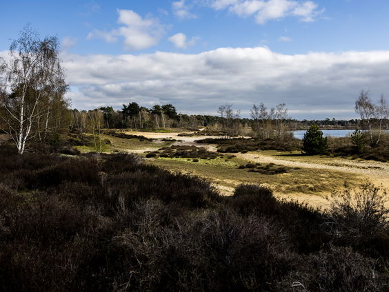 Zijn de versoepelingen van de natuurherstelwet door Timmermans voldoende?