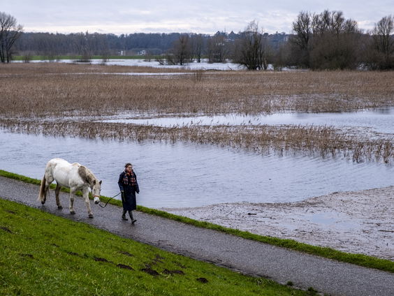 Wat leert het hoogwater ons over toekomstig overstromingsgevaar?