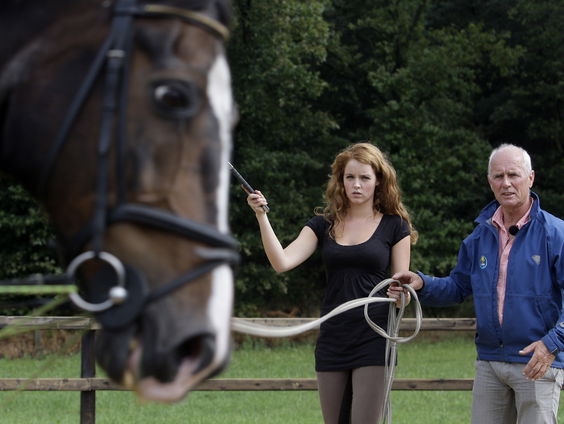 De wachttijden voor paardrijles lopen op