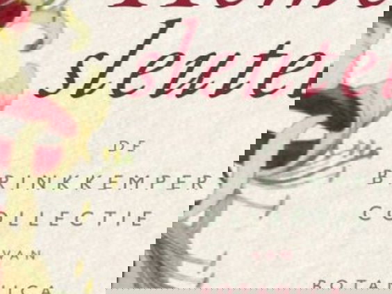 Hemelsleutel, botanica in de lage landen