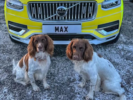 Uitgelicht: Verenigd Koninkrijk