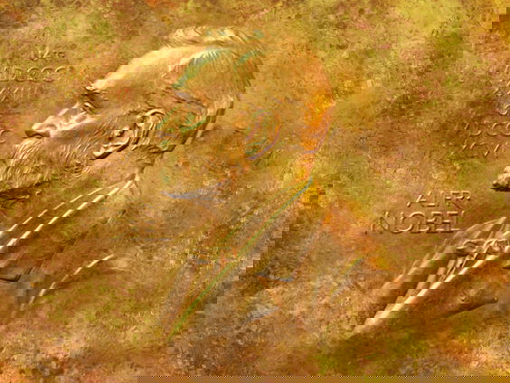 Vrouwen nomineren vrouwen voor een Nobelprijs