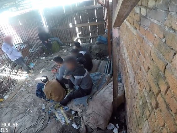 De mensen in kooien in Europa