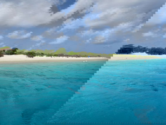 Algemene wet gelijke behandeling op Caraïbische delen van Nederland: 'Belangrijke stap'